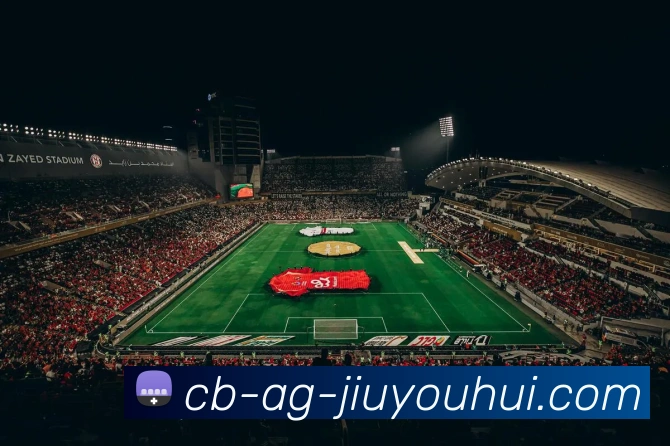 AG九游会官网发展历程