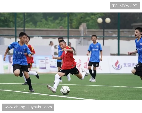 仙居县适合踢足球的场地推荐与赛事信息汇总